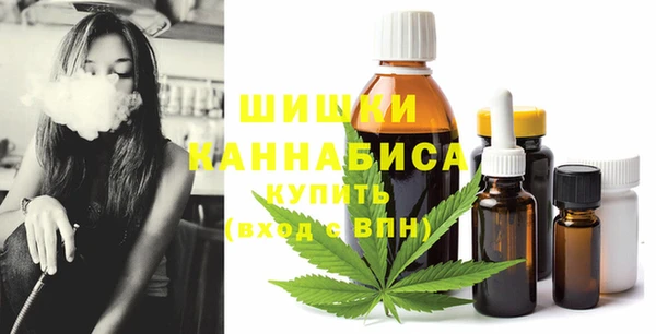 крисы Куйбышев