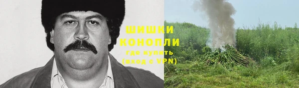 стаф Кукмор